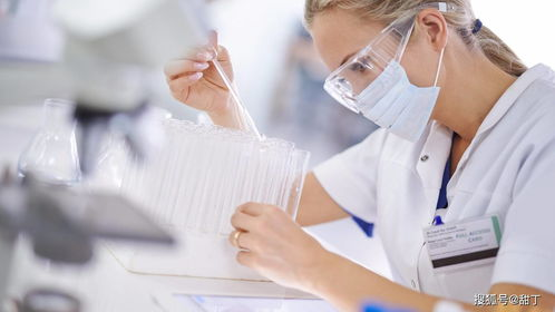 内江试管代生代怀全流程揭秘：从胚胎培养到成功分娩的真实经历